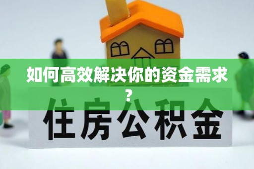 树林如何高效解决你的资金需求？