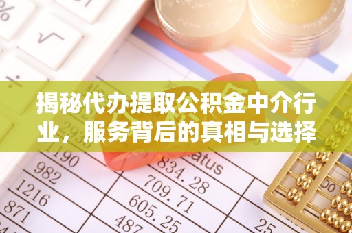 树林揭秘代办提取公积金中介行业，服务背后的真相与选择指南