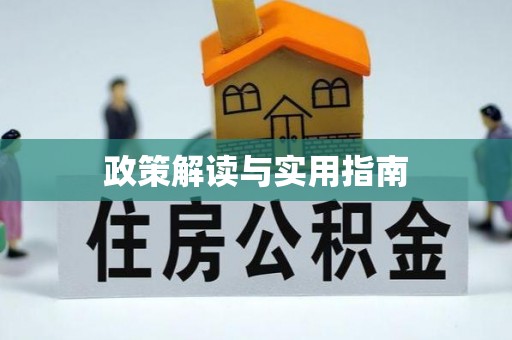 树林政策解读与实用指南
