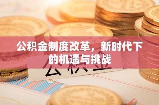 树林公积金制度改革，新时代下的机遇与挑战