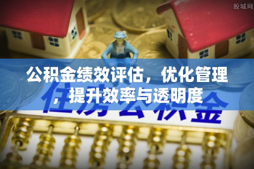 树林公积金绩效评估，优化管理，提升效率与透明度