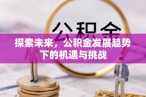 树林探索未来，公积金发展趋势下的机遇与挑战