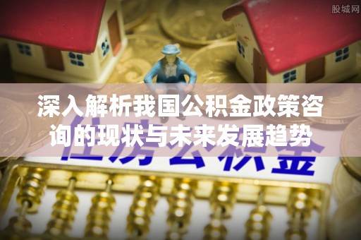 树林深入解析我国公积金政策咨询的现状与未来发展趋势