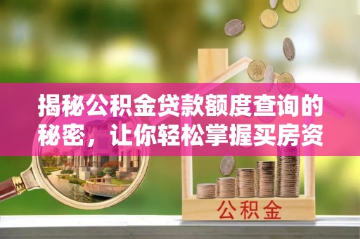 树林揭秘公积金贷款额度查询的秘密，让你轻松掌握买房资金规划