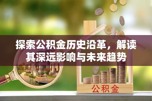 树林探索公积金历史沿革，解读其深远影响与未来趋势