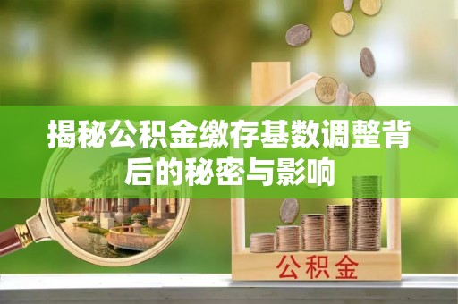 树林揭秘公积金缴存基数调整背后的秘密与影响