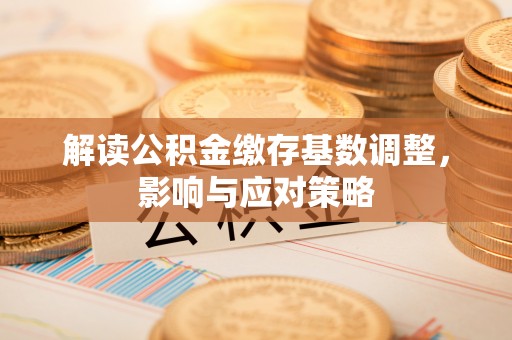 树林解读公积金缴存基数调整，影响与应对策略
