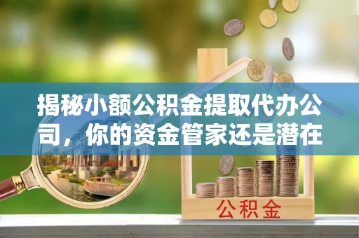 树林揭秘小额公积金提取代办公司，你的资金管家还是潜在风险？
