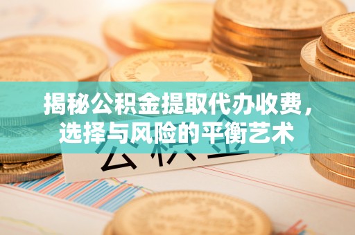 树林揭秘公积金提取代办收费，选择与风险的平衡艺术