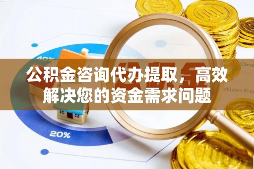 树林公积金咨询代办提取，高效解决您的资金需求问题
