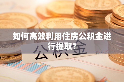 树林如何高效利用住房公积金进行提取？