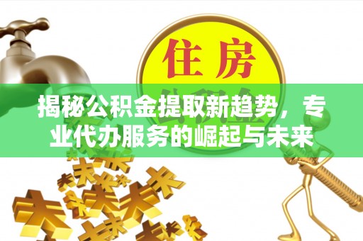 树林揭秘公积金提取新趋势，专业代办服务的崛起与未来