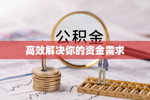 树林高效解决你的资金需求