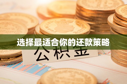树林选择最适合你的还款策略