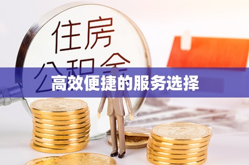 树林高效便捷的服务选择